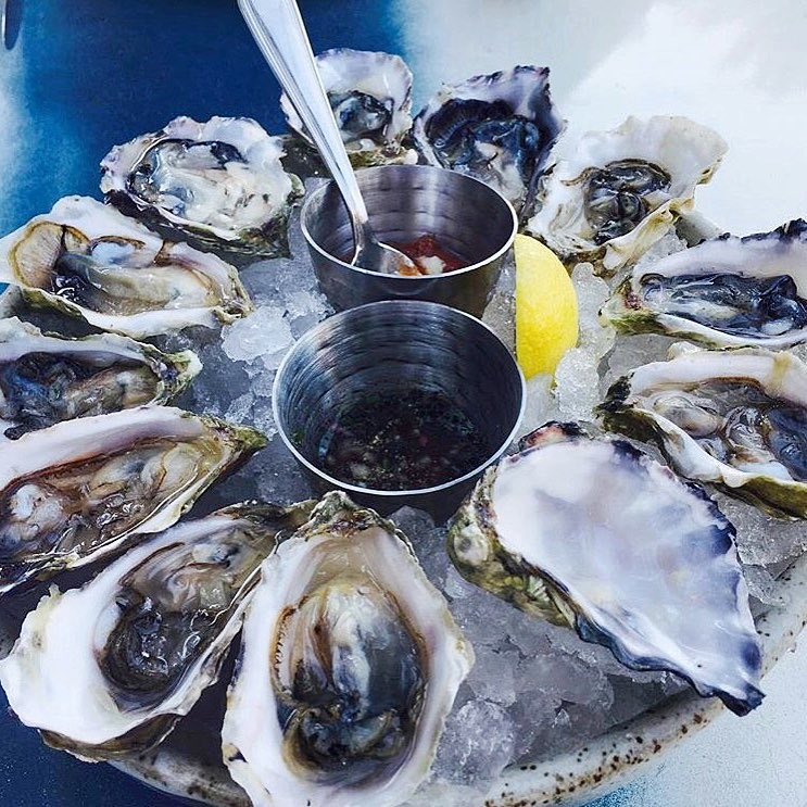 Six Facts About Oysters in Honor of National Oyster Day