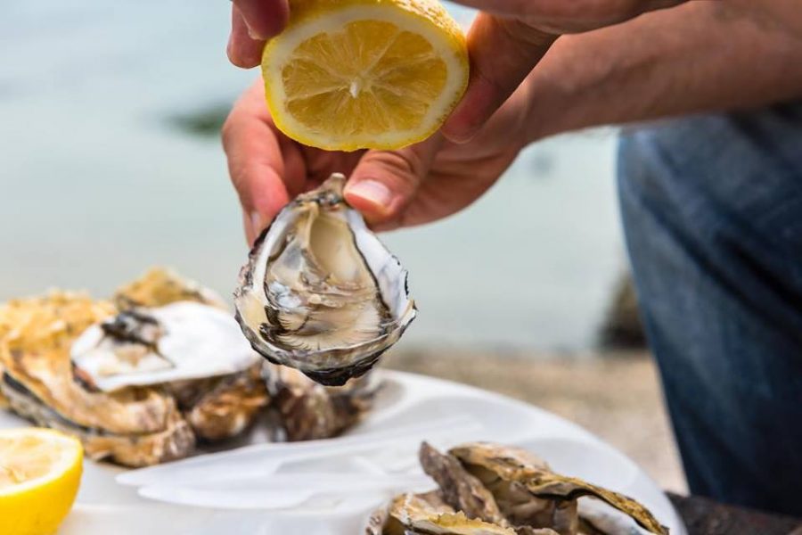 6 Facts You Should Know About National Oyster Day