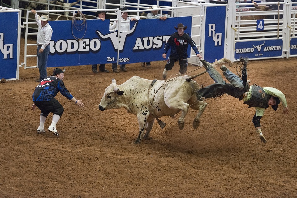 nfr viewing at the still las vegas