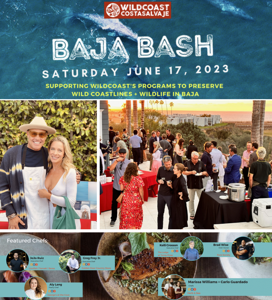 Temaki Bar at WildCoast Baja Bash 2023: Supporting Coastal Conservation and Serving the Best Sushi in Encinitas